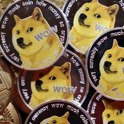 Berita Duka: Anjing Shiba Inu yang Menginsiprasi Dogecoin Tutup Usia