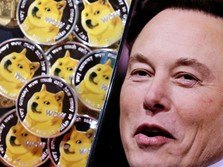Elon Musk Digugat Rp 3.800 Triliun, Dituding Pompom Dogecoin