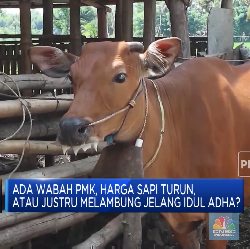 SKB 3 Menteri, Libur Idul Adha Digeser Jadi 10 Juli 2022