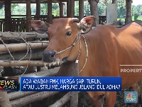 SKB 3 Menteri, Libur Idul Adha Digeser Jadi 10 Juli 2022