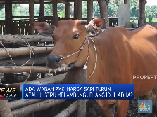 SKB 3 Menteri, Libur Idul Adha Digeser Jadi 10 Juli 2022