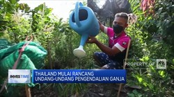 Thailand Mulai Panik Warga Banyak Mabuk Ganja