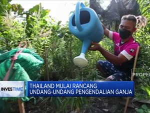 Thailand Mulai Panik Warga Banyak Mabuk Ganja