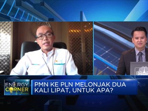 PLN Yakin Capai 100% Rasio Elektrifikasi 2024, Ini Caranya