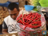 Harga Cabai Menggila, Ini Ramalan BI Soal Inflasi Juni 2022