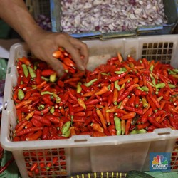 Harga Cabai Masih Liar, Ternyata Ini Biang Keroknya