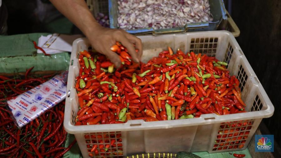 Harga Cabai Di Pasar Kebayoran Lama (CNBC Indonesia/Tri Susilo)