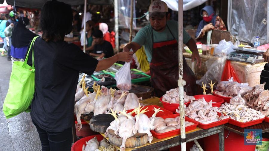 Harga Daging Ayam (CNBC Indonesia/Tri Susilo)