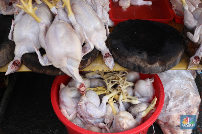 Harga Cabai Di Pasar Kebayoran Lama (CNBC Indonesia/Tri Susilo)