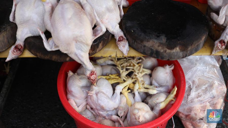 Harga Cabai Di Pasar Kebayoran Lama (CNBC Indonesia/Tri Susilo)