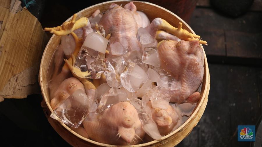 Harga Cabai Di Pasar Kebayoran Lama (CNBC Indonesia/Tri Susilo)