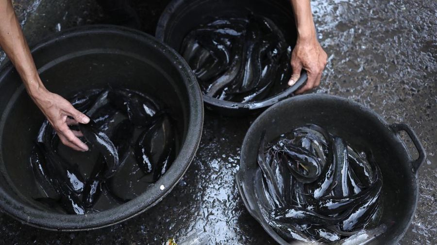 Harga Cabai Di Pasar Kebayoran Lama (CNBC Indonesia/Tri Susilo)