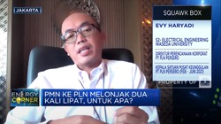 PLN Dapat Kucuran Dana PMN Rp 10 Triliun, Dipakai Untuk Apa?