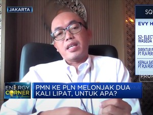 PLN Dapat Kucuran Dana PMN Rp 10 Triliun, Dipakai Untuk Apa?