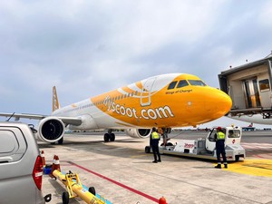 Penumpang Curi Uang di Pesawat Scoot Dihukum Penjara
