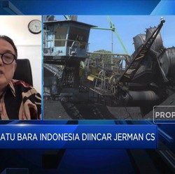 Sederet Hambatan RI Penuhi Permintaan Batu Bara Eropa