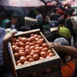 Harga Telur 'Terbang', DPR Desak Zulhas Gerak Cepat