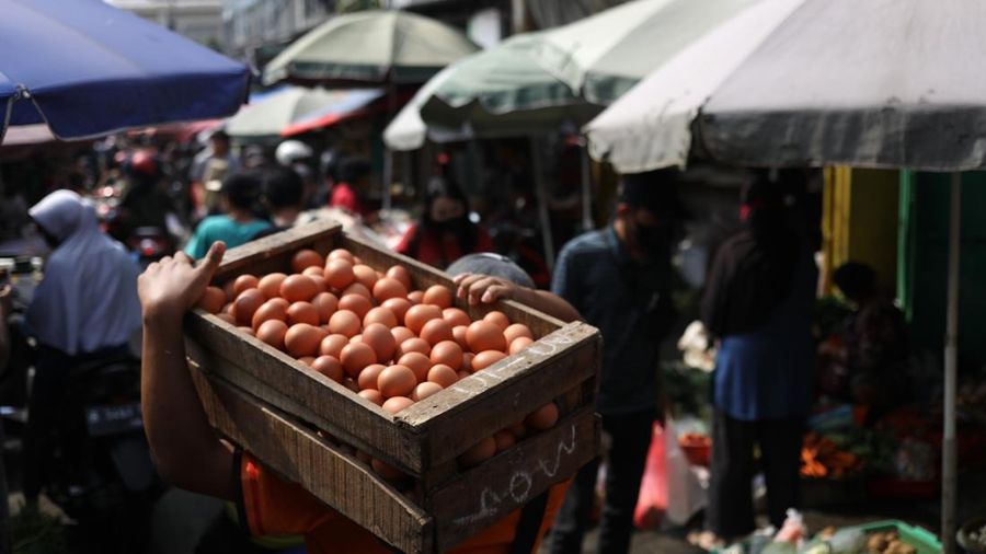 Telur Ayam (CNBC Indonesia/ Tri Susilo)