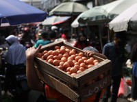 Harga Telur Naik Tertinggi Sepanjang Sejarah, Ini Penyebabnya