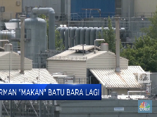 Gas Terbatas, Jerman Pakai Batu Bara Lagi