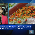 Harga Cabai Makin 