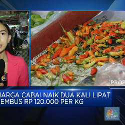 Harga Cabai Makin 
