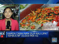 Harga Cabai Makin "Pedas"
