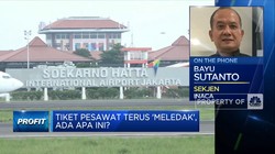 Harga Tiket Pesawat Melonjak, Wajarnya Naik Berapa?