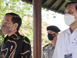 Luhut Minta PNS Tiru Jokowi: Tidak Aneh-aneh & Kerja Keras!