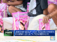 Jokowi Sebut Ada Negara Minta Dikirimi 2,5 Juta Ton Beras RI