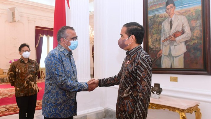 Pertemuan Dirjen WHO dan Jokowi