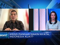 Tata Kelola Pangan Jauh Dari Harapan, RI Sulit Swasembada?