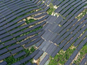 Begini Jurus Perusahaan Swasta Dorong Transisi Energi