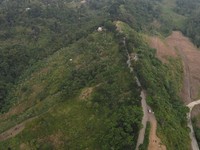 Belah Hutan dan Gunung, Begini Kondisi Terkini Jalur Puncak 2