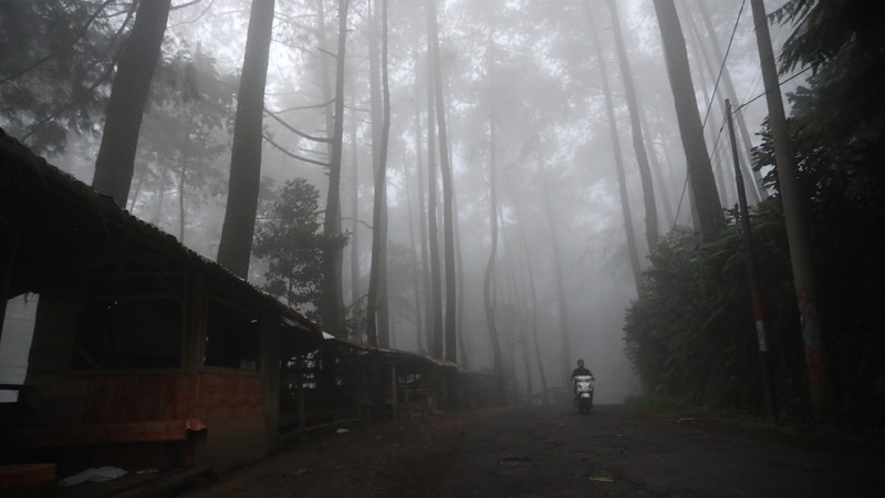 Jalur Puncak 2 (CNBC Indonesia/Andrean Kristianto) Jalur Puncak 2 (CNBC Indonesia/Andrean Kristianto)