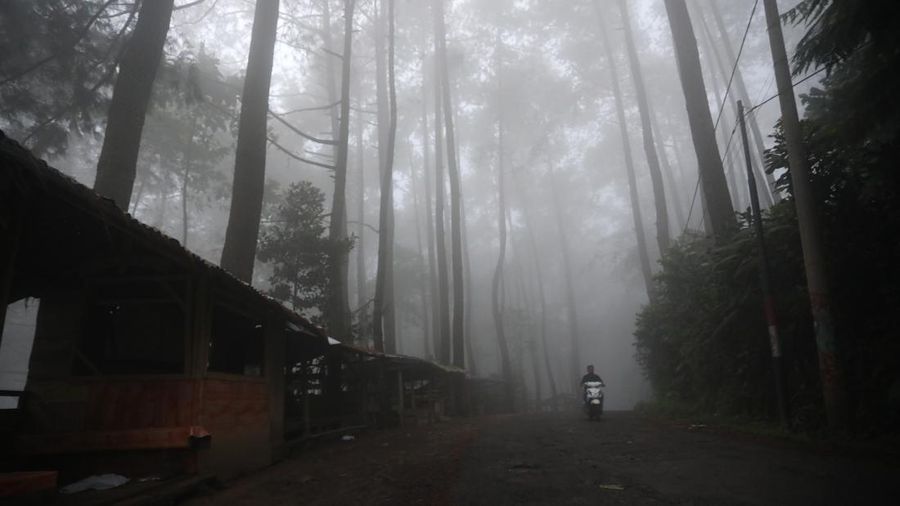 Jalur Puncak 2 (CNBC Indonesia/Andrean Kristianto)