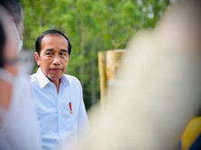 Gaspol Pindah Ibu Kota, Jokowi akan Tengok IKN 3 Bulan Sekali