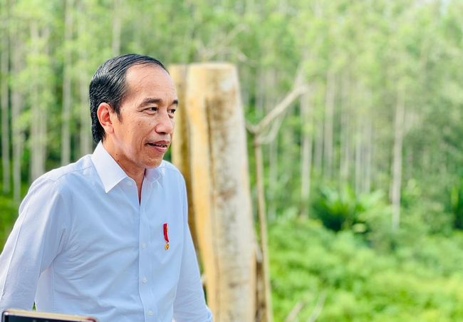 Jokowi Bakal ke IKN Bulan Ini: Groundbreaking Istana Negara!