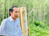 Jokowi Bakal ke IKN Bulan Ini: Groundbreaking Istana Negara!