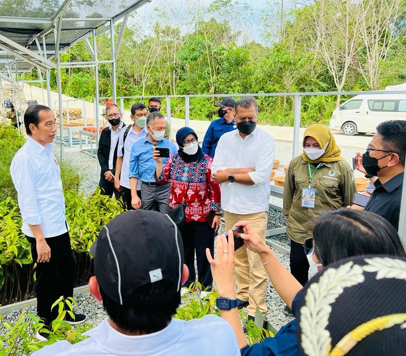 Presiden Joko Widodo mengawali kunjungan kerjanya ke Provinsi Kalimantan Timur dengan meninjau Persemaian Mentawir di Kabupaten Penajam Paser Utara, Rabu, 22 Juni 2022. Presiden Joko Widodo mengawali kunjungan kerjanya ke Provinsi Kalimantan Timur dengan meninjau Persemaian Mentawir di Kabupaten Penajam Paser Utara, Rabu, 22 Juni 2022.