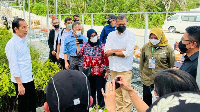 Presiden Joko Widodo mengawali kunjungan kerjanya ke Provinsi Kalimantan Timur dengan meninjau Persemaian Mentawir di Kabupaten Penajam Paser Utara, Rabu, 22 Juni 2022.