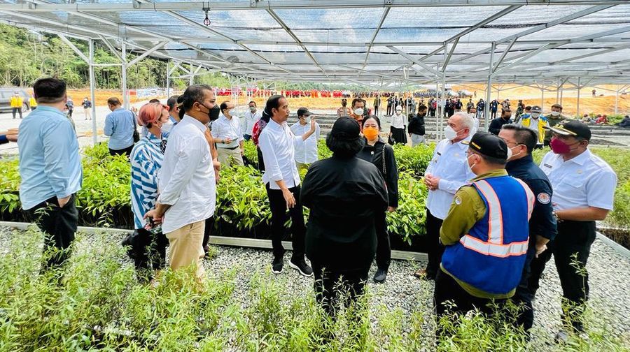 Presiden Joko Widodo mengawali kunjungan kerjanya ke Provinsi Kalimantan Timur dengan meninjau Persemaian Mentawir di Kabupaten Penajam Paser Utara, Rabu, 22 Juni 2022.