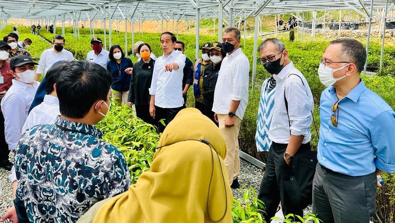 Presiden Joko Widodo mengawali kunjungan kerjanya ke Provinsi Kalimantan Timur dengan meninjau Persemaian Mentawir di Kabupaten Penajam Paser Utara, Rabu, 22 Juni 2022.