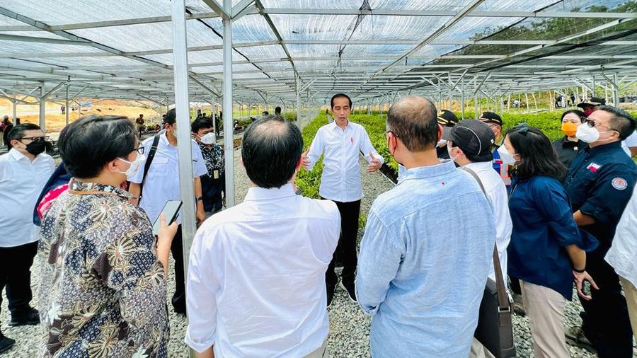 Presiden Joko Widodo mengawali kunjungan kerjanya ke Provinsi Kalimantan Timur dengan meninjau Persemaian Mentawir di Kabupaten Penajam Paser Utara, Rabu, 22 Juni 2022.
