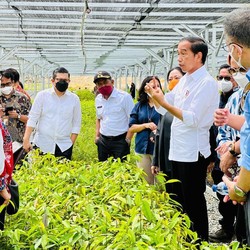 Pakai 'Alat' Seharga Rp 339 M Jokowi akan Hijaukan Pulau Kalimantan
