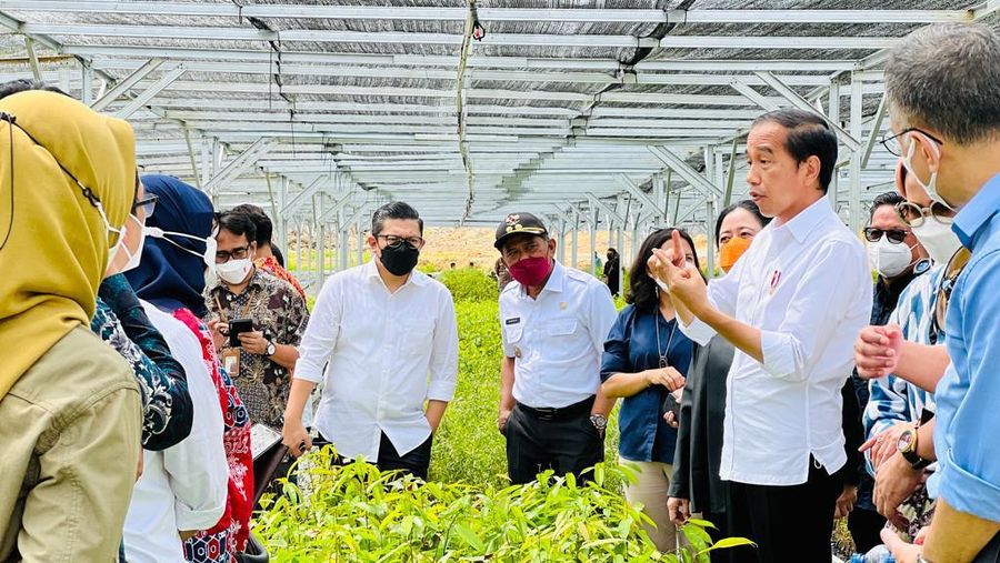 Presiden Joko Widodo mengawali kunjungan kerjanya ke Provinsi Kalimantan Timur dengan meninjau Persemaian Mentawir di Kabupaten Penajam Paser Utara, Rabu, 22 Juni 2022.