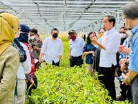 Pakai 'Alat' Seharga Rp 339 M Jokowi akan Hijaukan Pulau Kalimantan