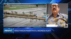 RI Kuat Hadapi Ancaman Krisis Pangan, Tapi Ada Syaratnya!