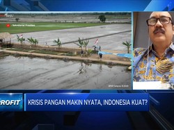 RI Kuat Hadapi Ancaman Krisis Pangan, Tapi Ada Syaratnya!