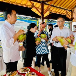 Jokowi Ogah Kelapa RI Diekspor Mentah, Minta Diolah Jadi Ini